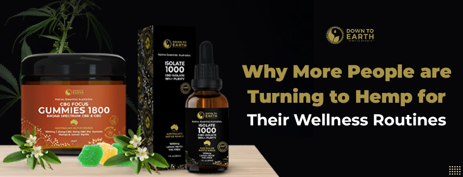 Why More People Are Turning to Hemp for Their Wellness Routines