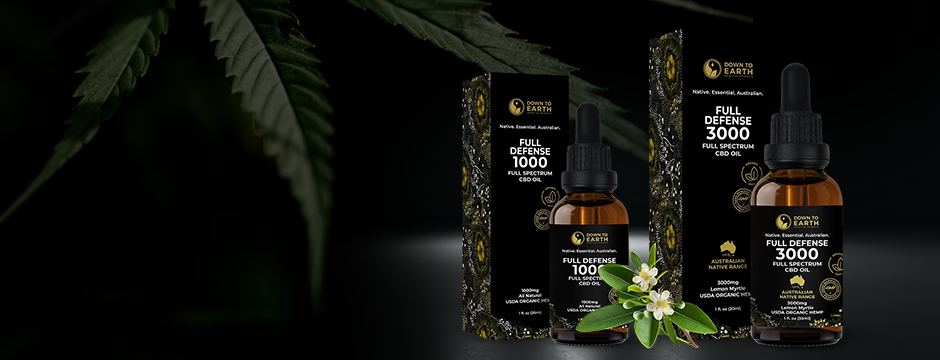 CBD Oil Extraction Methods Explained for Beginners