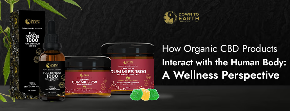 How Organic CBD Products Interact with the Human Body: A Wellness Perspective