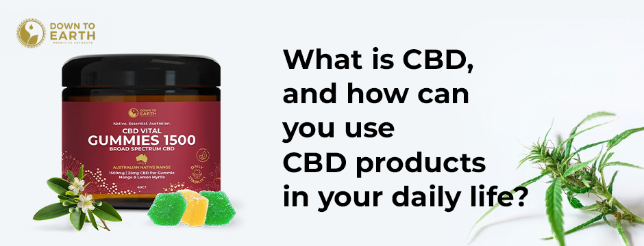 What is CBD, and how can you use CBD products in your daily life?