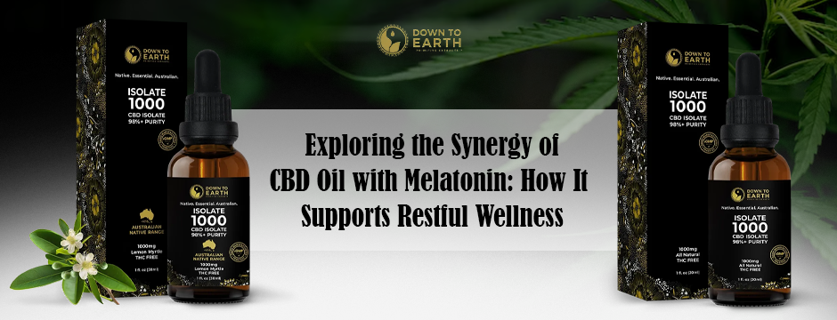 Exploring the Synergy of CBD Oil with Melatonin: How It Supports Restful Wellness