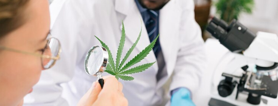 Why Lab Reports Matter: Understanding Certificates of Analysis for CBD
