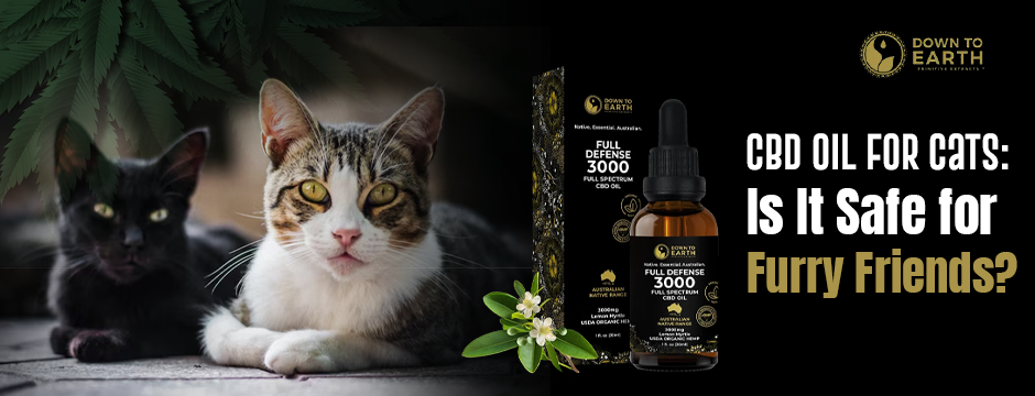 CBD oil for Cats: Is It Safe for Furry Friends?