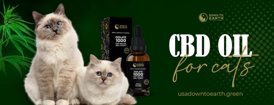 CBD oil for Cats