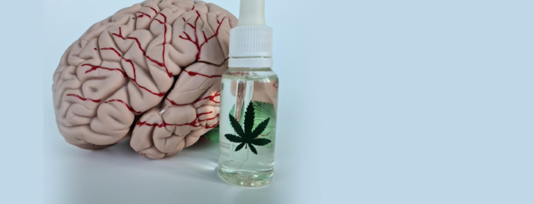 What is the Impact of CBD Products on Brain Function?