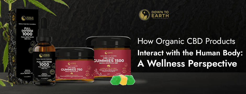 How Organic CBD Products Interact with the Human Body: A Wellness Perspective